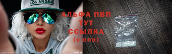 стаф Абинск