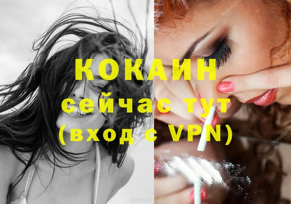 стаф Абинск