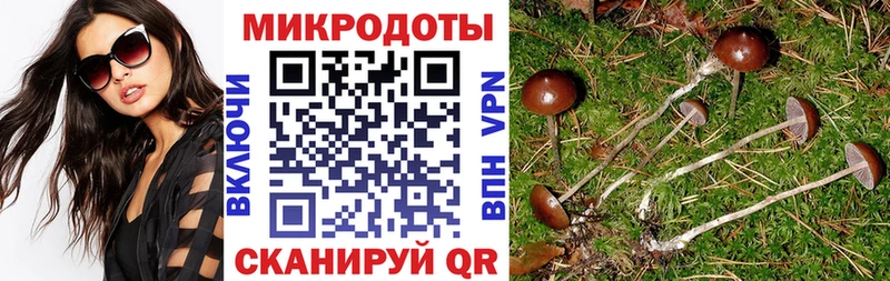 Псилоцибиновые грибы прущие грибы Алатырь