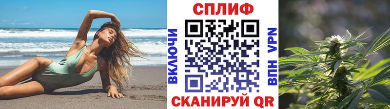 МАРИХУАНА ГИДРОПОН цены Алатырь